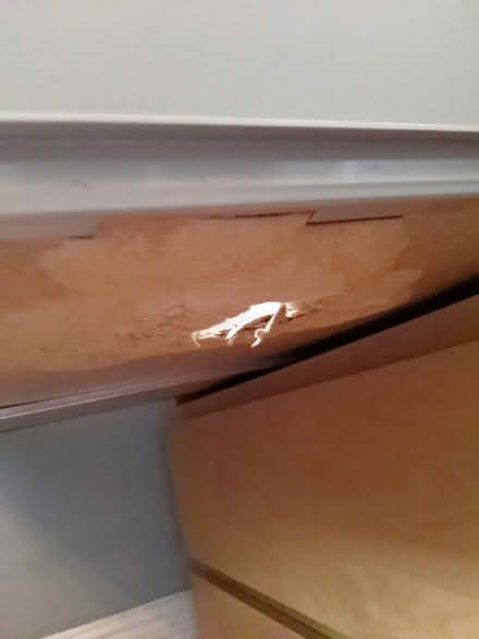 Photo of free IKEA Malm Drawers (Downtown Guelph) #3