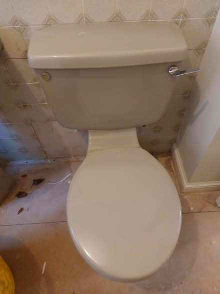 Photo of free Retro: Bath, toilet and basin set (Sandhurst Lane GL2) #4
