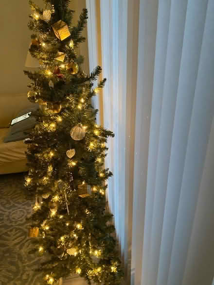 Photo of free 5’ nice artificial Christmas tree (UW area) #2