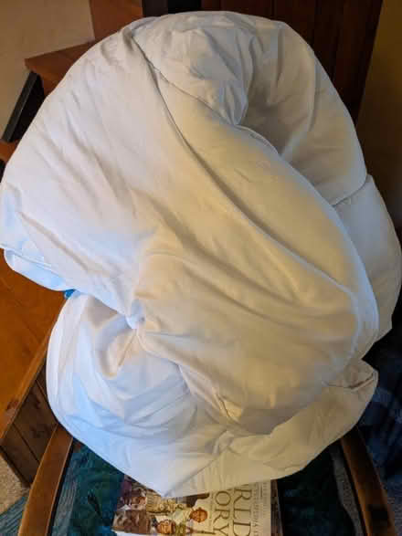 Photo of free Single duvet (Harbertonford TQ9) #1