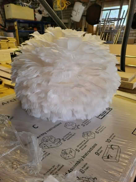 Photo of free Feather lamp shade (Everton SO41) #1