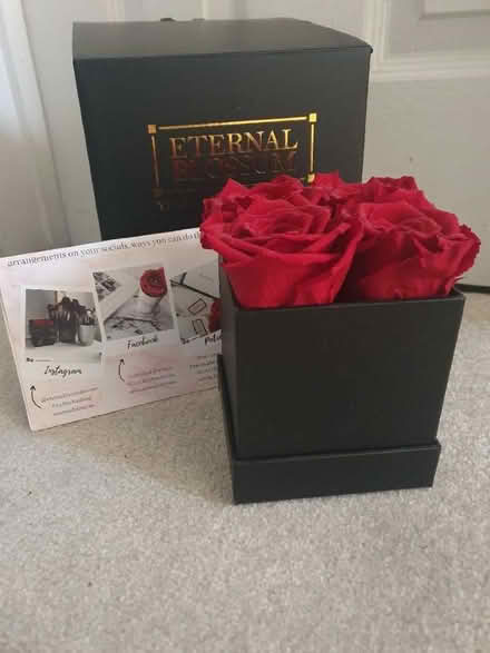 Photo of free Eternity Roses (Becontree RM8) #1