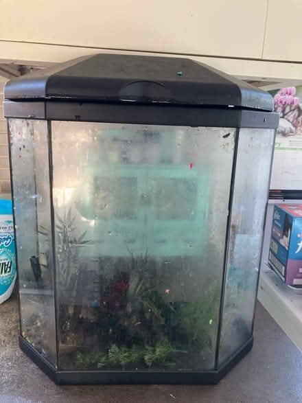 Photo of free Fish tank (M24) #1