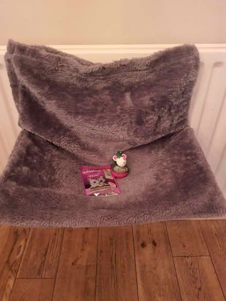 Photo of free Cat bed, Toy and 1 pouch of food. (Denmead PO7) #2