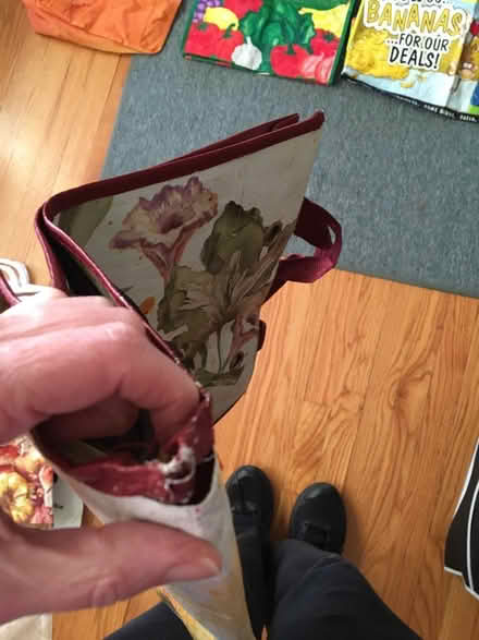 Photo of free Reusable bags (Catonsville) #1