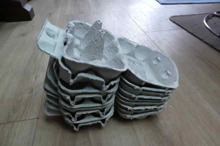 Photo of free Empty Eggs boxes (6, 10, 15) (Cambridge, CB1) #1