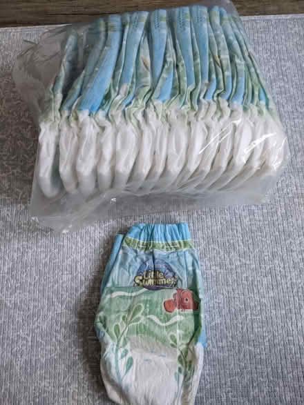 Photo of free Disposable Swim Diapers (21146) #1