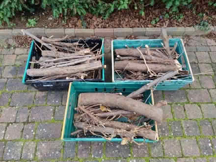 Photo of free Firewood (Purley CR8) #1