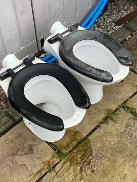 Photo of free 3 sinks and 2 children’s toilets (Bolton Le sands) #3