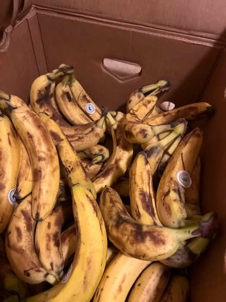 Photo of free Bananas (Newney green CM1) #1