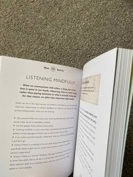 Photo of free mindfulness book (Ilford IG6) #3