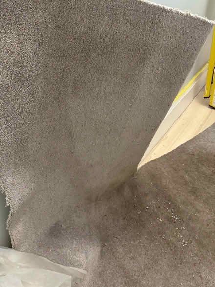 Photo of free Luxurious grey carpet piece (Sheffield) #2