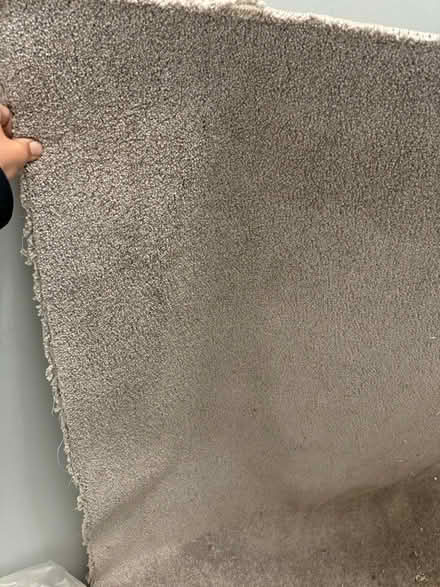 Photo of free Luxurious grey carpet piece (Sheffield) #1