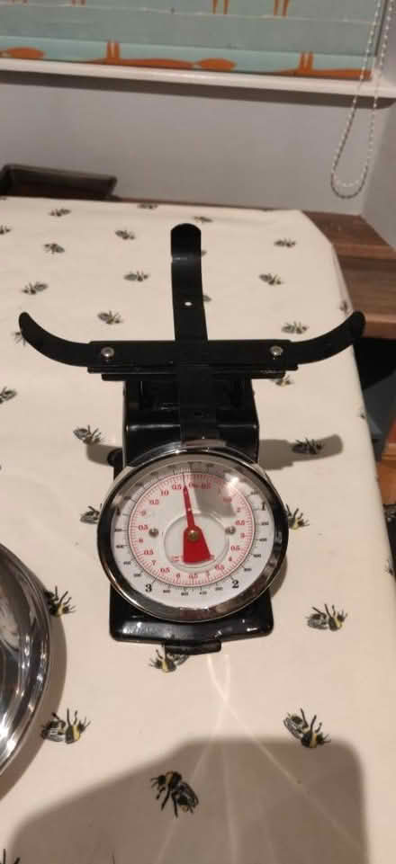 Photo of free Kitchen Scales (Newhaven EH6) #3