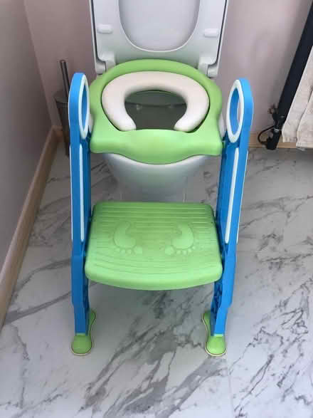 Photo of free Toddler's toilet step and seat (East Grinstead RH19) #1