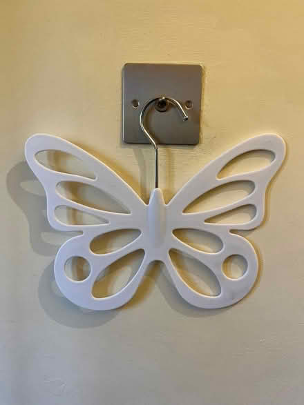 Photo of free Scarf hanger (Shoreham BN43) #1