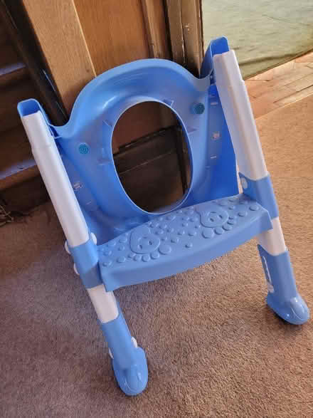 Photo of free Kids toilet seat with steps (Lloyd Park) #3