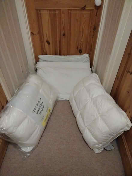 Photo of free Pillows (Woodton NR35) #1