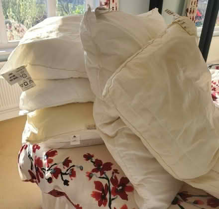 Photo of free Pillows (Twyford RG10) #1