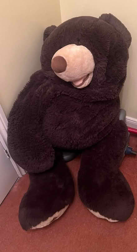 Photo of free Large teddy (Nanpantan LE11) #1