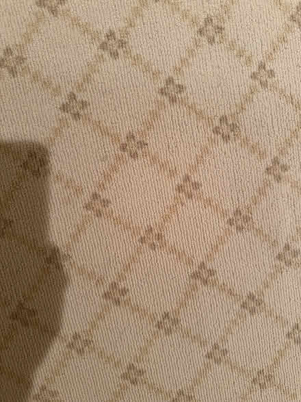 Photo of free Custom wool rug - tight weave (Crescent Park, CA) #1