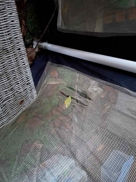 Photo of free Hexagon gazebo (Mitcham CR4) #4