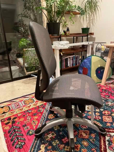 Photo of free New office chair (San Venetia) #1