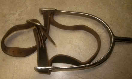 Photo of free Single spur (S.E. of Caledon Village) #1