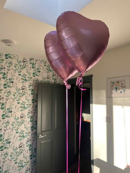 Photo of free 2 pink helium heat shape balloons (Sheffield S20) #1