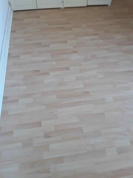 Photo of free Laminate flooring (South Wootton PE30) #1
