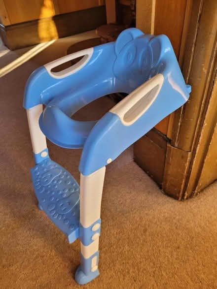 Photo of free Kids toilet seat with steps (Lloyd Park) #2