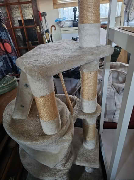 Photo of free Cat tree (EN3 Ponders End) #2