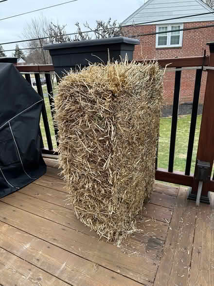 Photo of free Hay bale (Havertown) #1