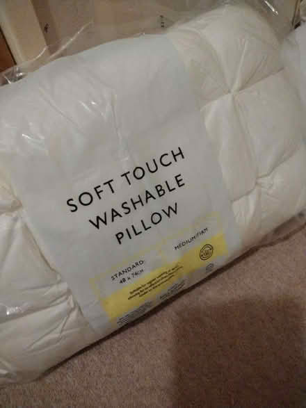Photo of free Pillows (Woodton NR35) #2