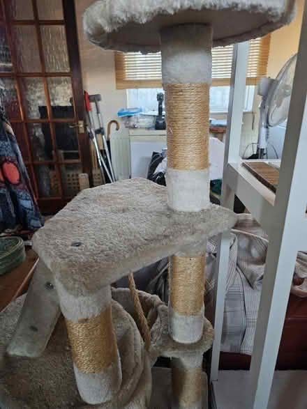 Photo of free Cat tree (EN3 Ponders End) #1