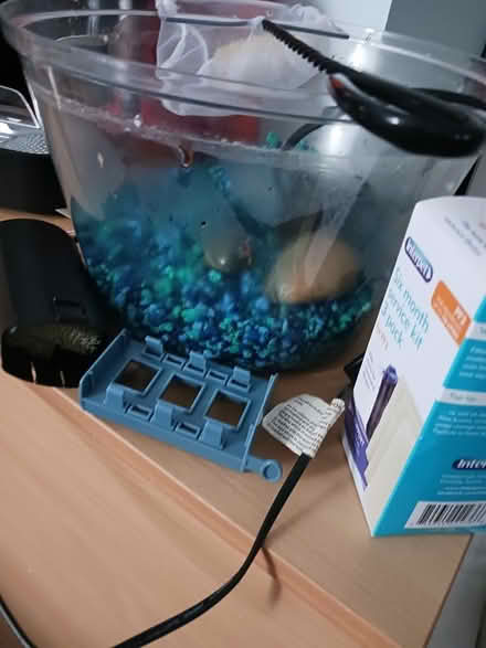 Photo of free Fish tank (Galway City) #1