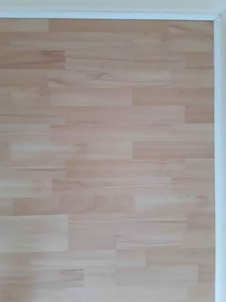 Photo of free Laminate flooring (South Wootton PE30) #2