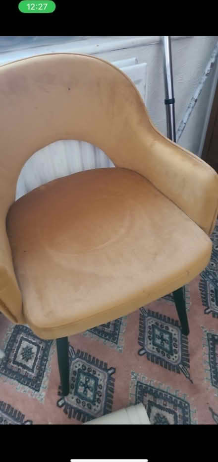 Photo of free 2x yellow velvet chairs (Archway N19) #2