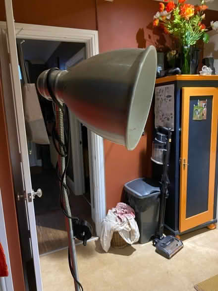 Photo of free Tall freestanding lamp (TQ2) #2