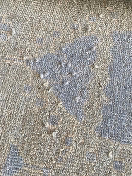 Photo of free Area rug in Oakland (Upper rockridge) #2