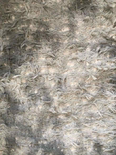 Photo of free Grey/silver/white Rug (CR3) #1