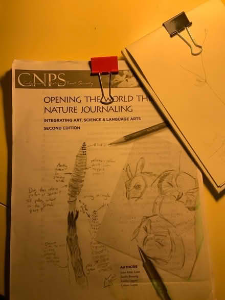 Photo of free Nature Journaling material (Lake Merritt) #1