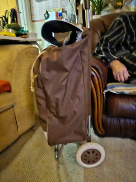 Photo of free Brown shopping trolley (Newtown WN5) #2