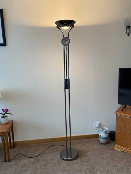 Photo of free Tall living room lamp (Lanark) #1