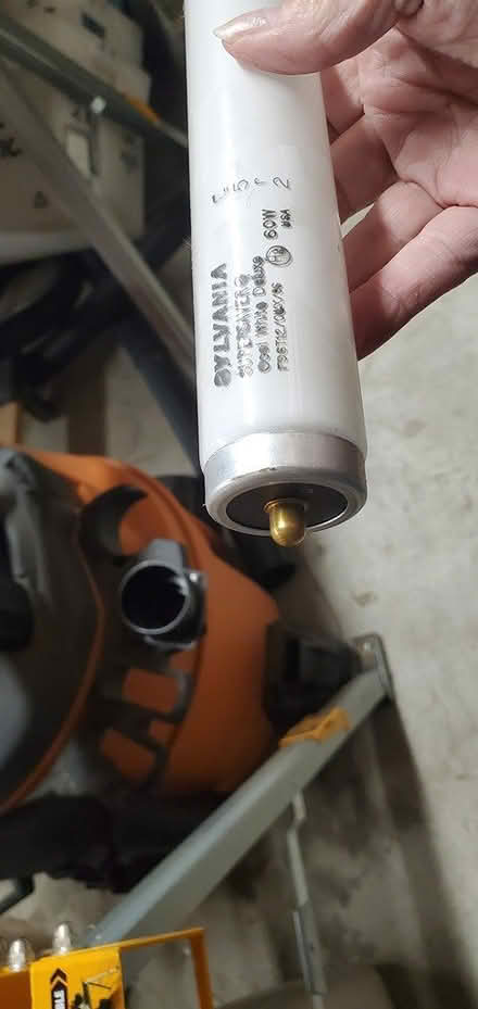 Photo of free Fluorescent bulbs (Almaden) #2