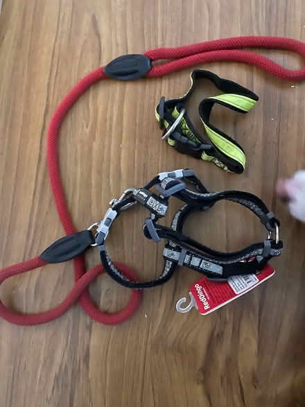 Photo of free Dog collar lead and harness (Mitcham CR4) #1
