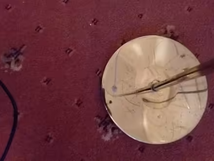 Photo of free Floor standing spot light in gold (Beauchief, S8) #3