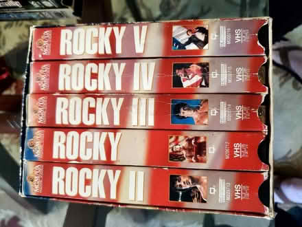 Photo of free Rocky 12345 (Channelview) #1