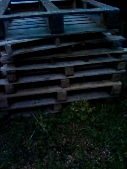 Photo of free Wooden Pallets (CT9) #1