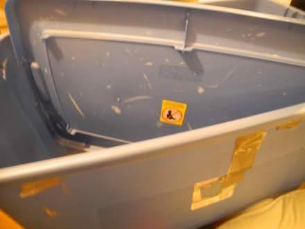 Photo of free Sterilite 132L plastic storage box with lid (Bethnal Green E2) #3